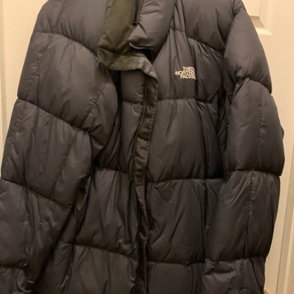 The north face 550 goose down